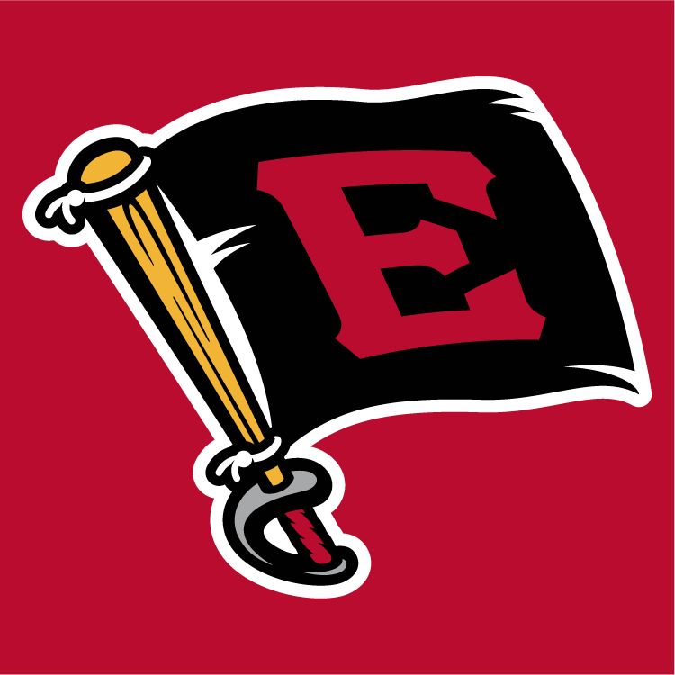 Erie SeaWolves 2013-Pres Cap Logo v2 iron on transfers for T-shirts